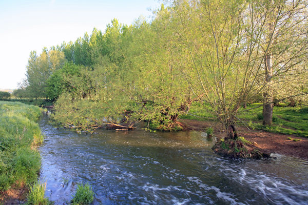 In Spring